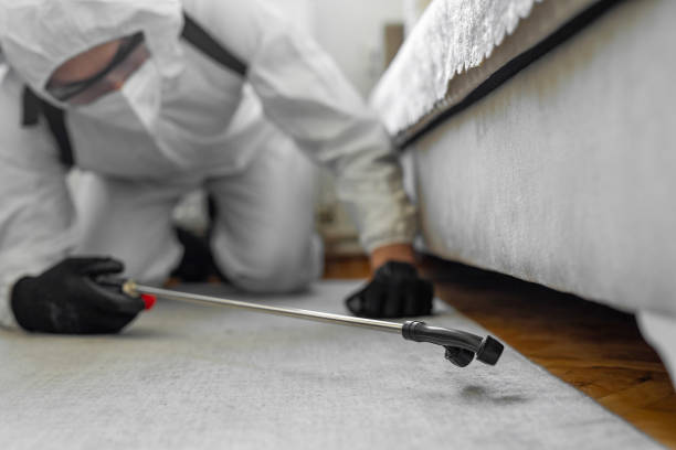 Professional Ant Control technician working in Aldine, TX