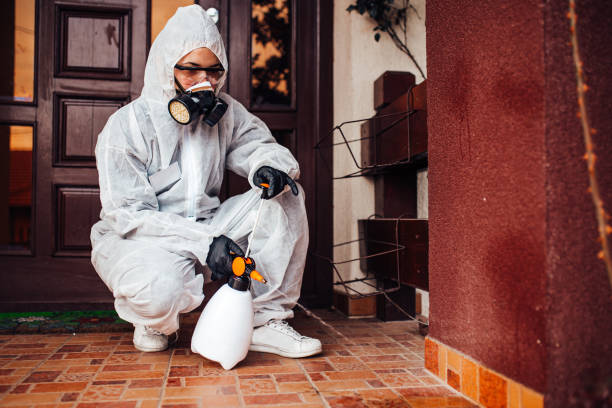 Reliable Ant Control contractor in Aldine, TX by Show Me Pest Control